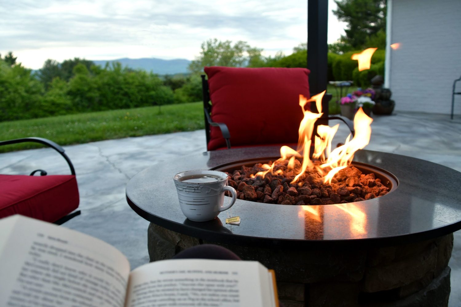 enjoying-a-cup-of-tea-a-good-book-and-the-view-wh-2023-11-27-05-19-04-utc